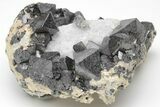 Octahedral Magnetite Crystals In Calcite - Russia #209446-1